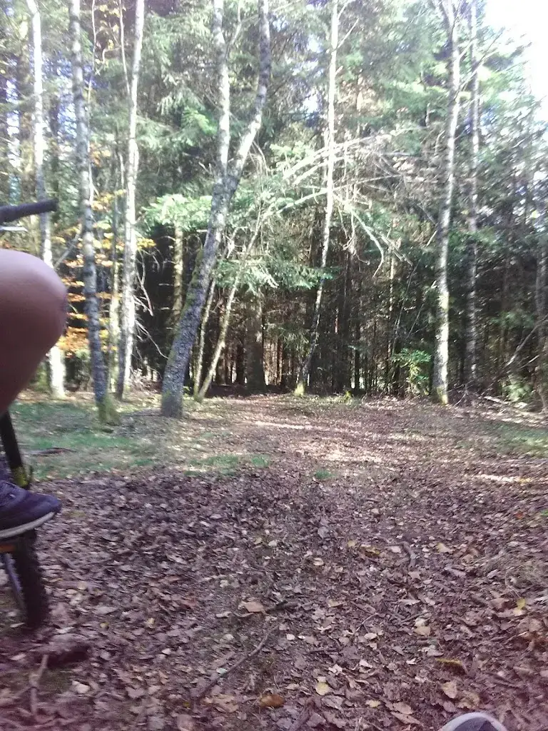 Humblot Nadege Josiane restaurante en Anould