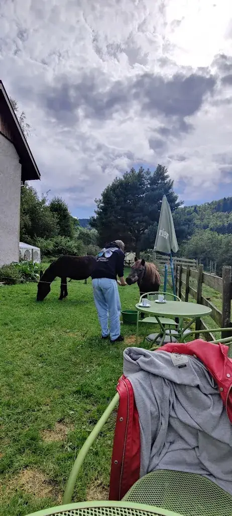 Rein Tiesing_Ferme Auberge Des Grands Prés_Plainfaing_review