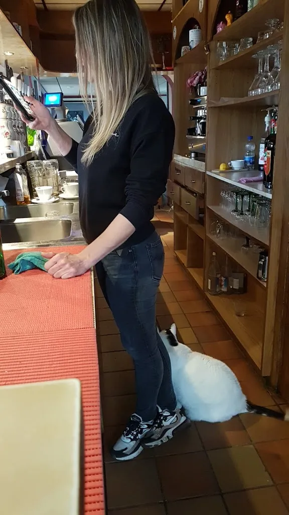 Denis Reitzer_Café chez Brigitte_Aspach-Michelbach_review