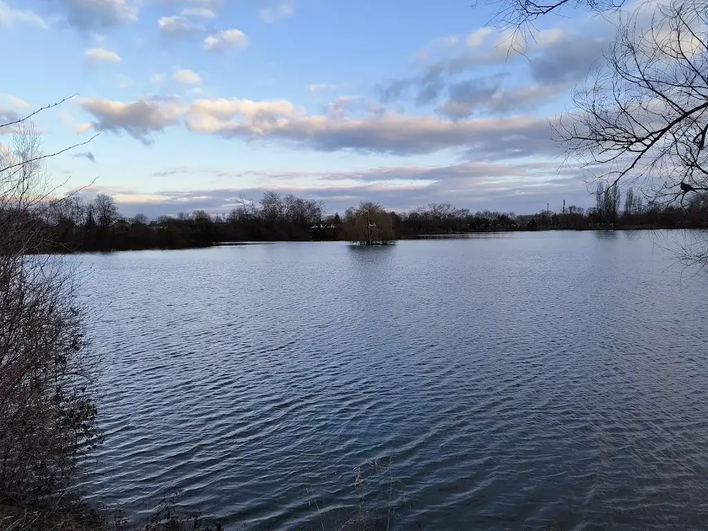 Brad D_Dragon Fly_Amnéville_review