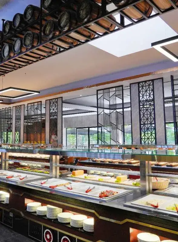 Dragon Fly_Amnéville_slider_image_1