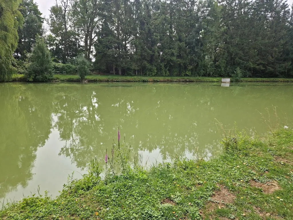 Pascal Gauchet_La truite au bleu&restaurant&bar_Attigny_review