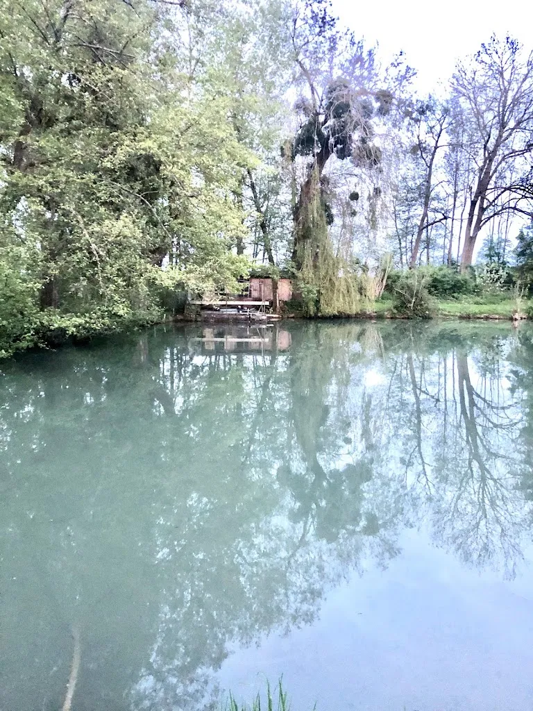 La truite au bleu&restaurant&bar_Attigny_slider_image_3