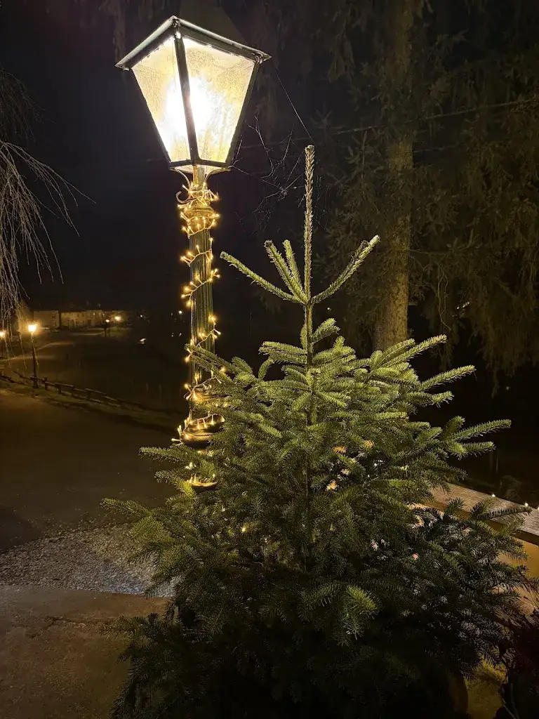 Ilias Aliev_AUBERGE CHEZ NOUS_Attigny_review