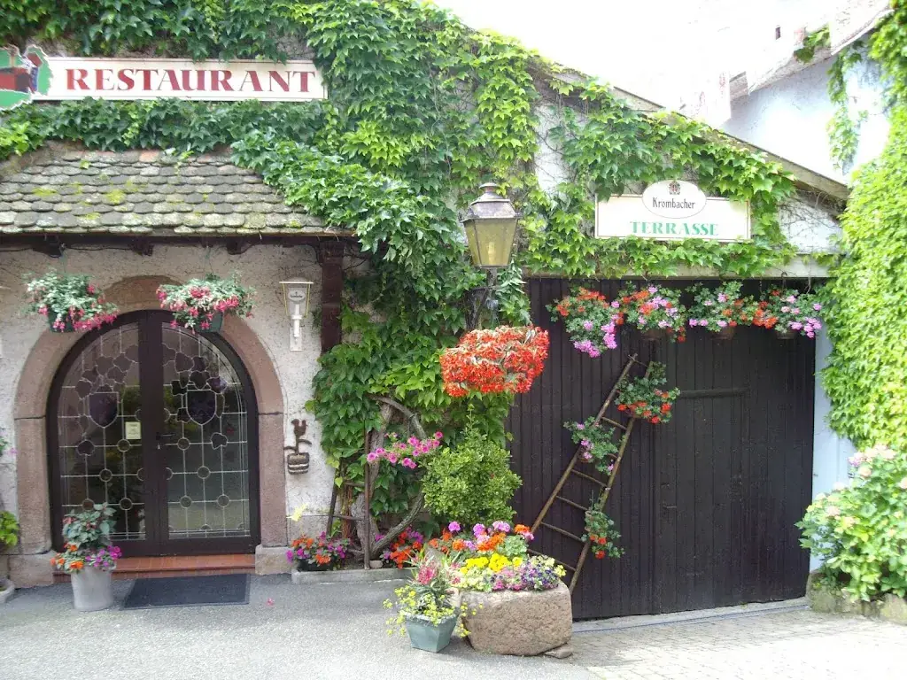 Domaine du Vieux Pressoir_Itterswiller_slider_image_3