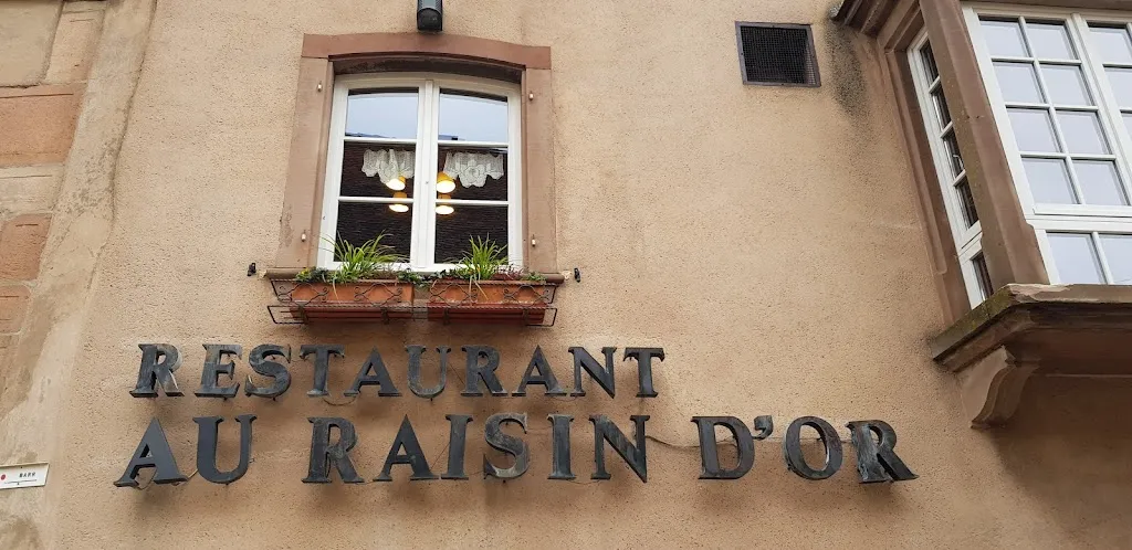 Martin Mengele_Restaurant d'hôtes Au Raisin d'Or_Mittelbergheim_review