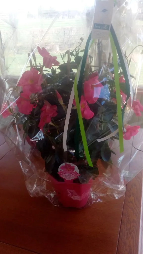 Froid Machines Grande Cuisine_Aydoilles_slider_image_2