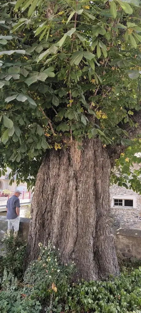 Patrick PASDELOUP_La Couze Pavin_Saint-Floret_review