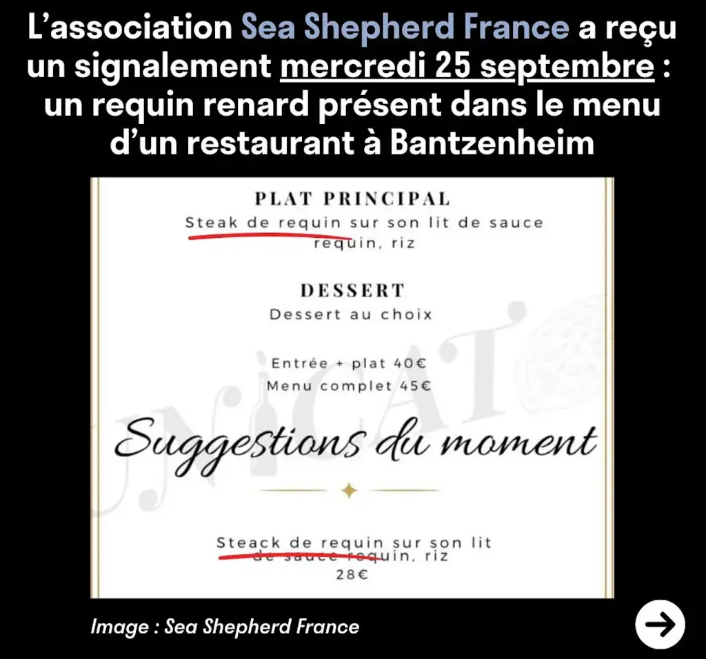 Menu_Restaurant Unicato_Bantzenheim_immagine_2