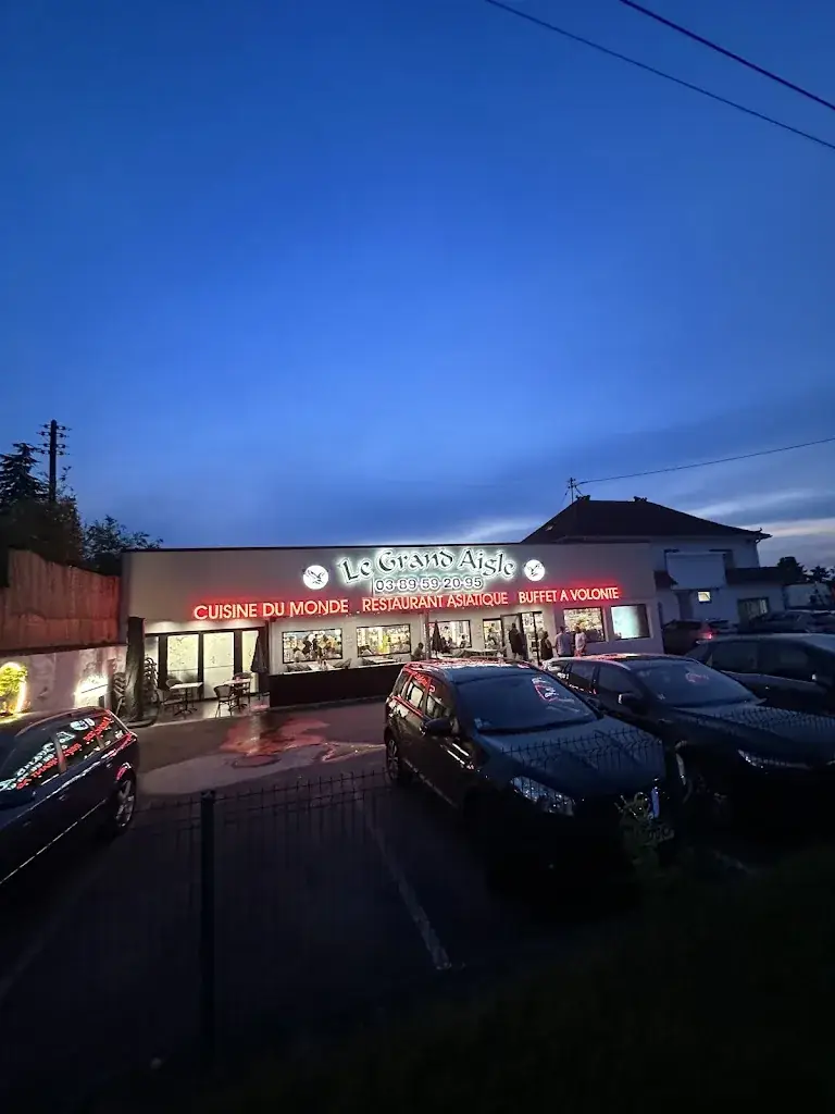 Leonard Ponseele_Le Grand Aigle_Sausheim_review