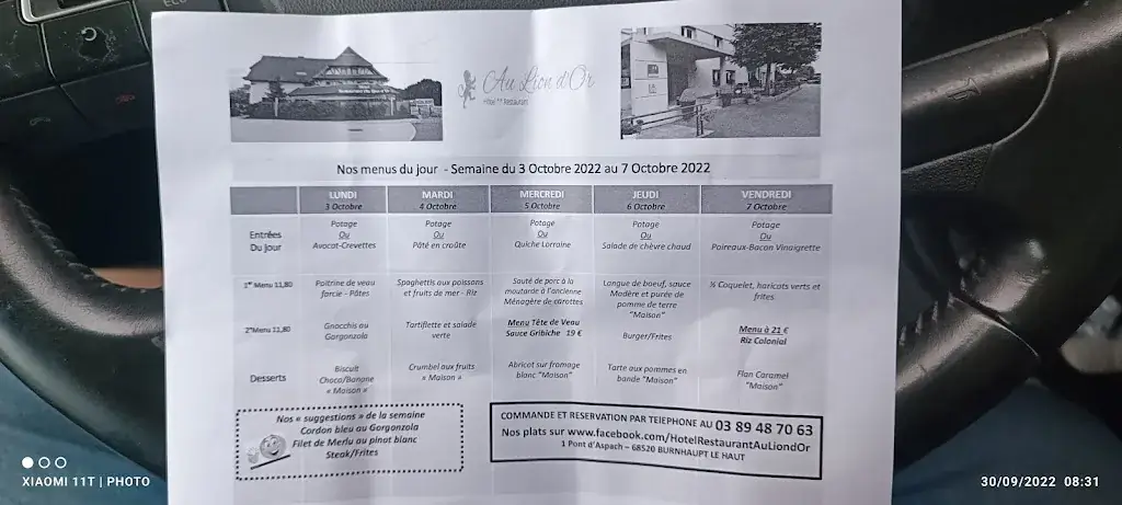 Menu_Au Lion d'Or - Hôtel/Restaurant_Burnhaupt-le-Haut_image_1