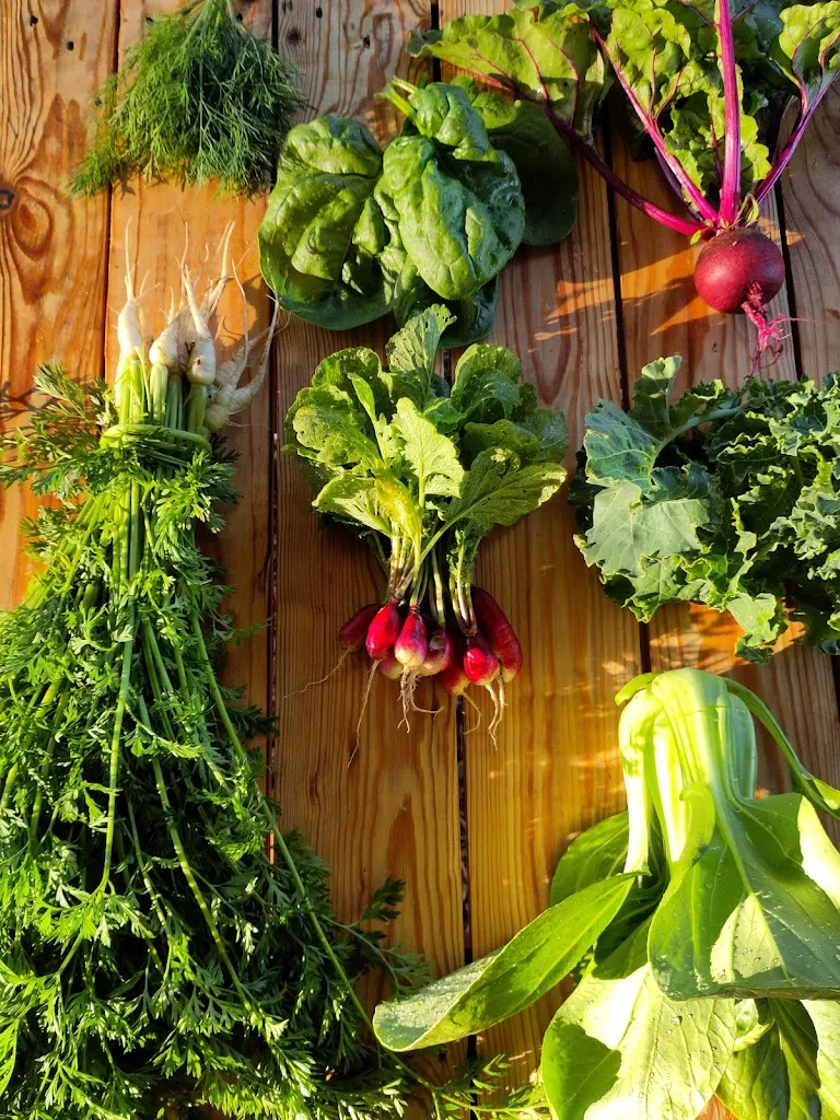 Menu_Les jardins de la Briquette_Burnhaupt-le-Haut_image_6