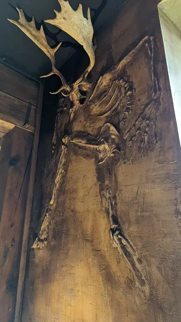 Johan Van der Stricht_Tchar Scaille_Thilay_review