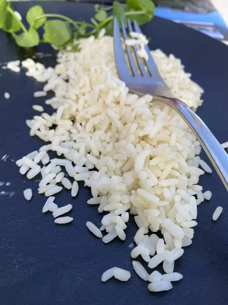 Mehmet Ufuk Dalmis_L'Auberge de la Tour_Givet_review