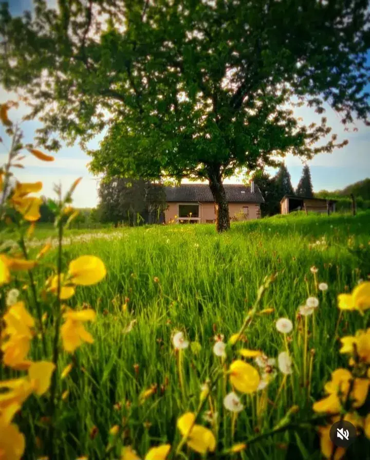 Ô P'tit creux du jardin_Vôge-les-Bains_slider_image_3