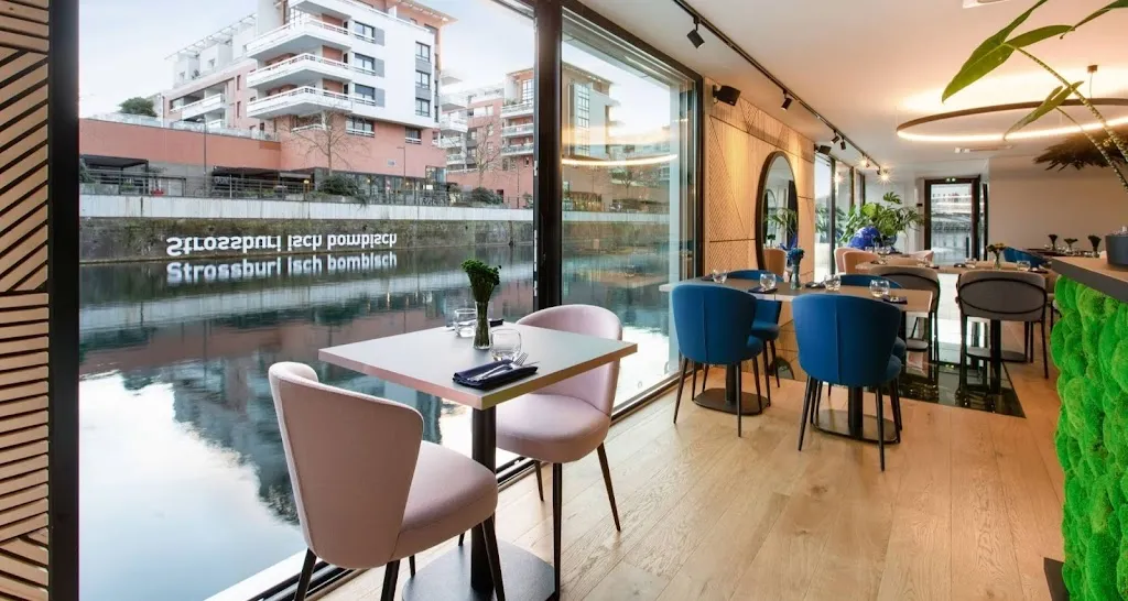 Blue Flamingo_Strasbourg_slider_image_1