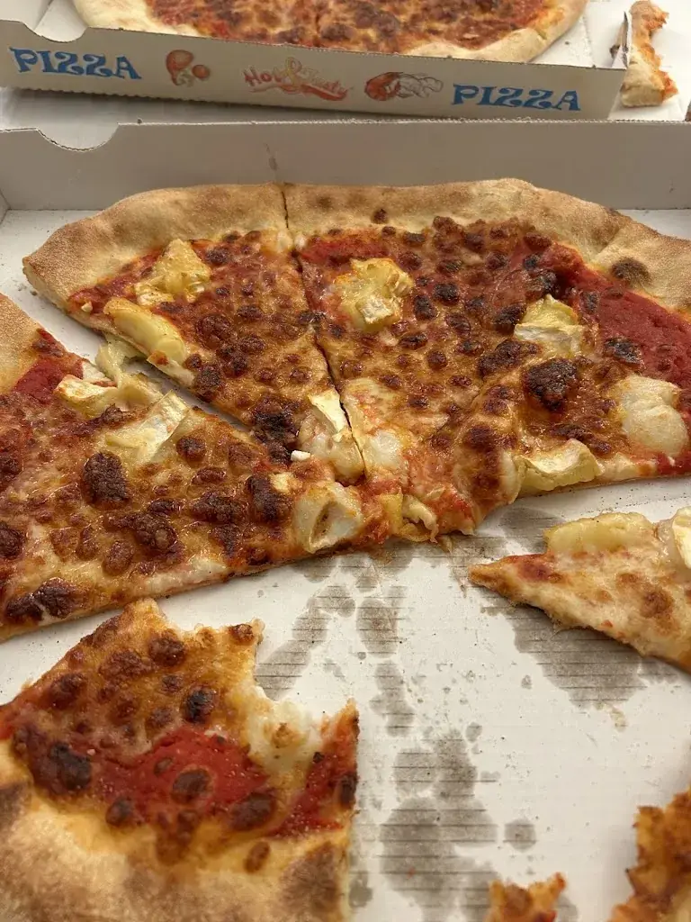 Camille Savre_Allo Pizza_Audun-le-Tiche_avis