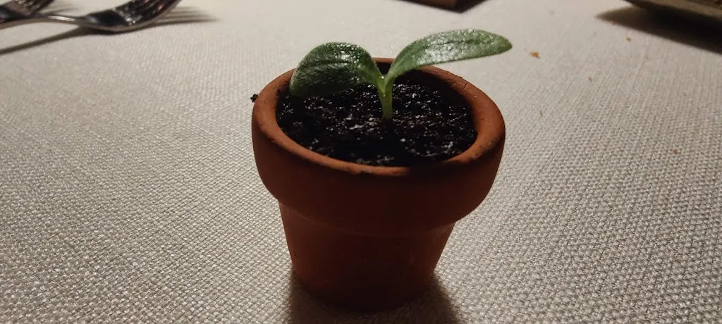 Menu_Restaurant FeVi Bosque_Luxembourg_image_7