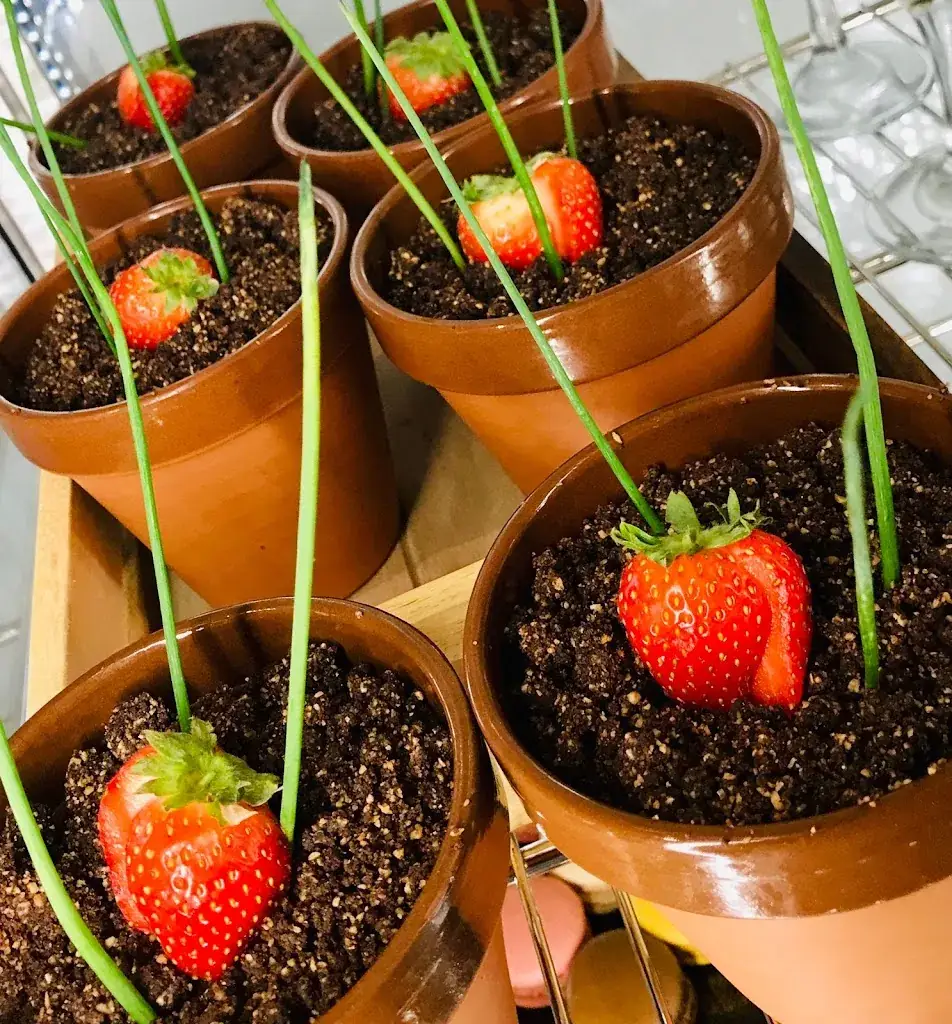 L'éclosion_Chapareillan_slider_image_2