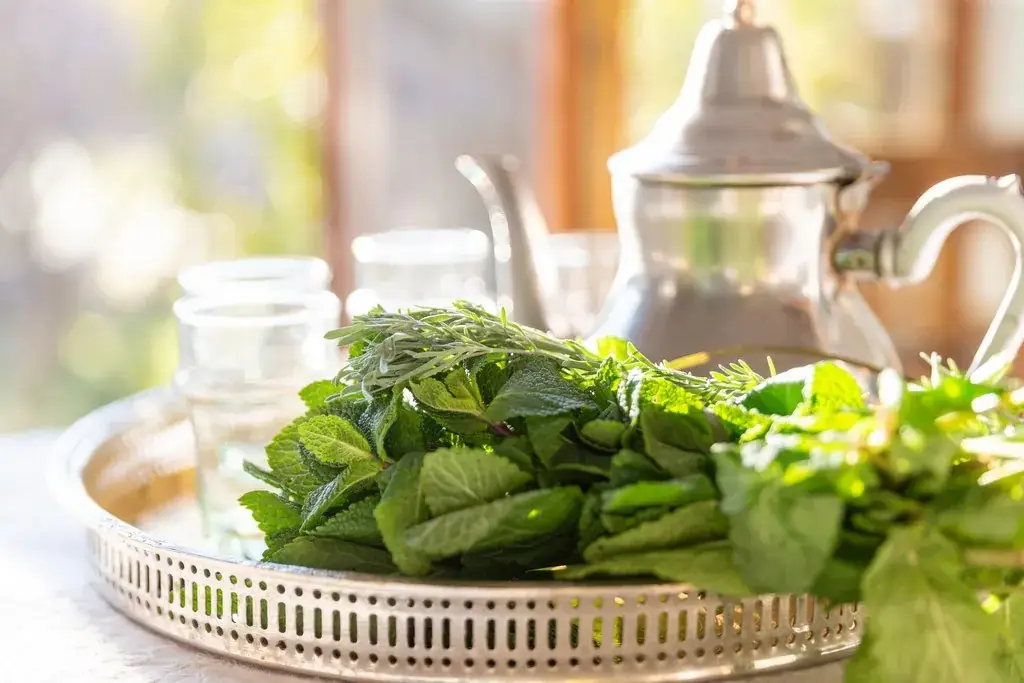 La Tanjia - Couscous marocain à Bartenheim_Bartenheim_slider_image_2