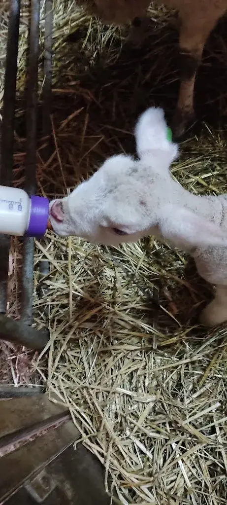 JP 84_La Ferme Auberge du Bessard_Allevard_review