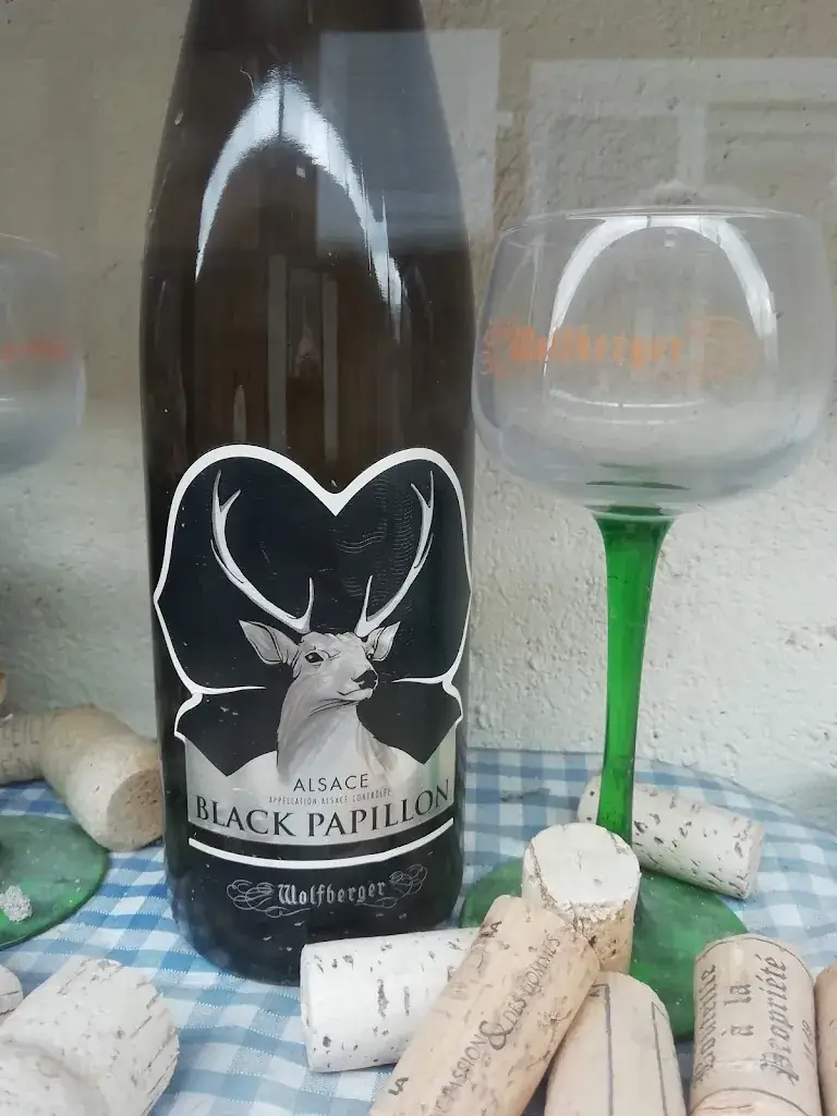 Menu_Aux Délices de la Coccinelle_Huttenheim_image_9