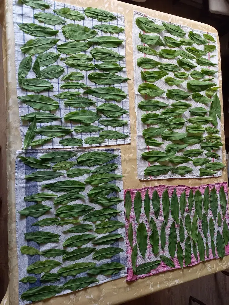 Bistrot du marché Benfeld_Benfeld_slider_image_1