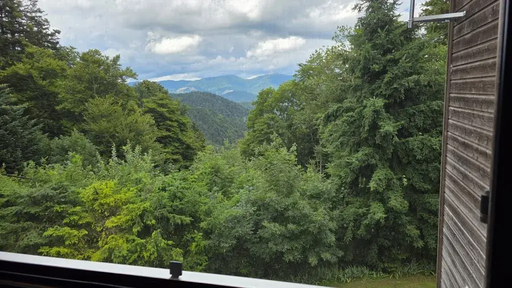 Marco Regina_Restaurant La Fourmi_Bitschwiller-lès-Thann_review