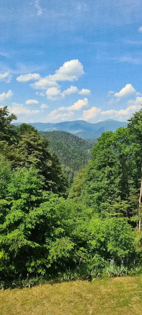 R “Alfonso” Chessa_Restaurant La Fourmi_Bitschwiller-lès-Thann_review