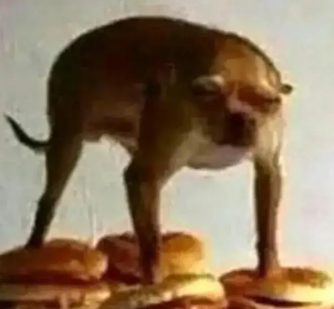 Mariouse Burgouse_Bischheim_slider_image_2