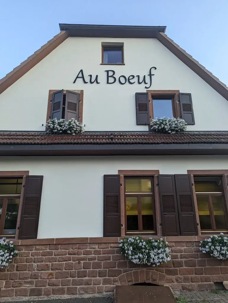 Gilles de Hollander_Restaurant Au Boeuf - Hohwiller_Soultz-sous-Forêts_reseña