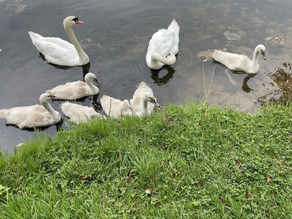 Relais du Parc restaurant in Bliesbruck