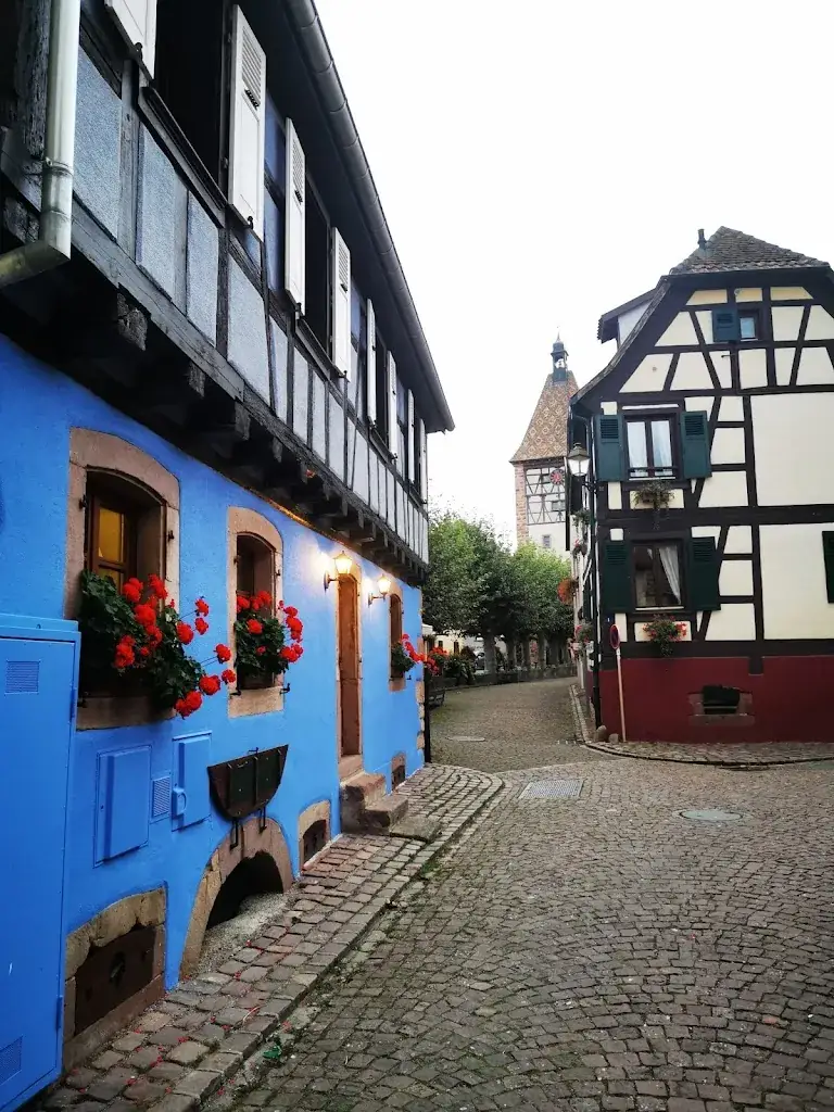 GIORGOS CHALIKIAS_Auberge des Lavandières_Bergheim_review