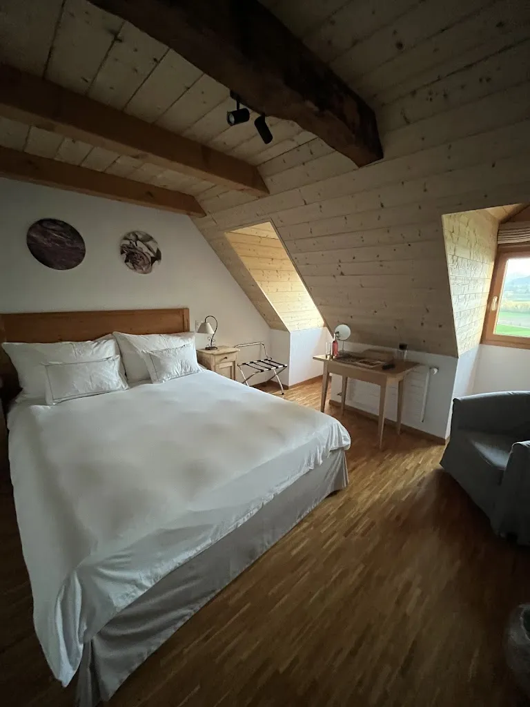 Adrienne Guiné_Les Montagnards_Broc_review