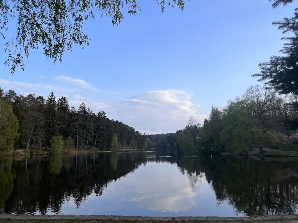 Ana Förster-Goncalves_L'Auberge du Lac_Bitche_review