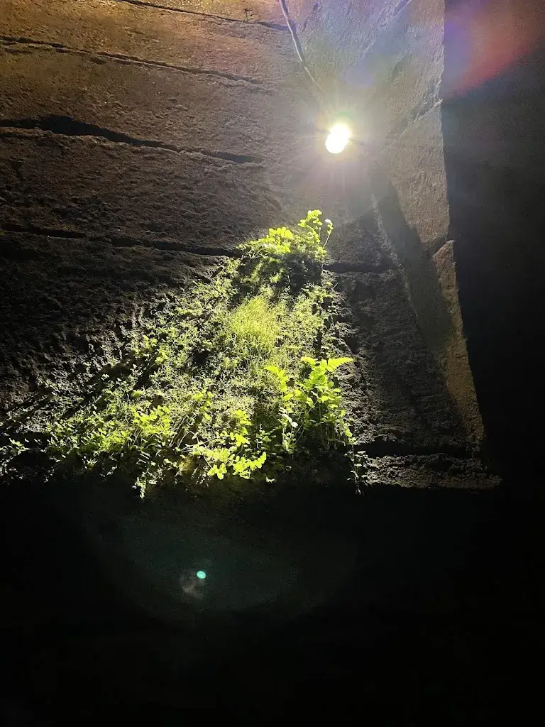 Joseph Kilbi_Cafeteria_Bitche_review