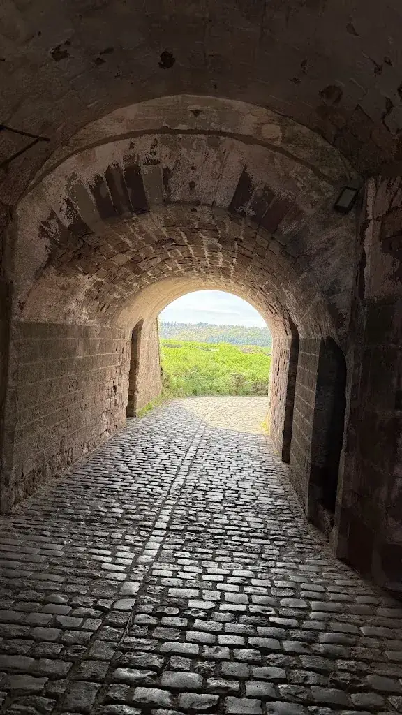 AGladers_Citadel of Bitche_Bitche_review