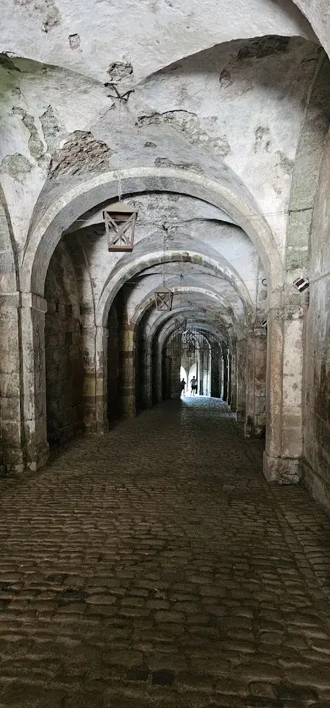 David Montes Jr._Citadel of Bitche_Bitche_review