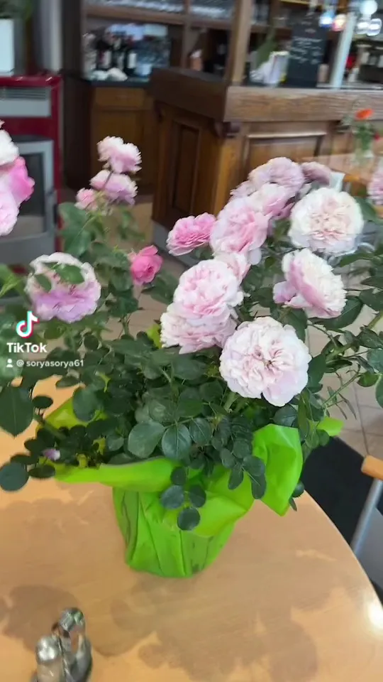 Restaurant Resto du Monde_Oberhoffen-sur-Moder_slider_image_2