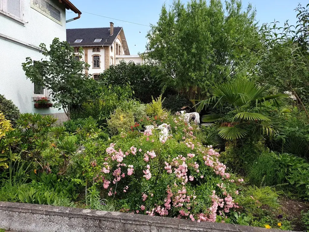 Katiolo - Chambres d'hôtes et Restaurant Ivoirien_Bischwiller_slider_image_1