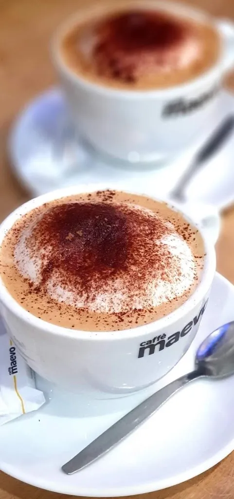 Menu_Bar Tabac Brasserie Café des Chats_Brienne-le-Château_image_7