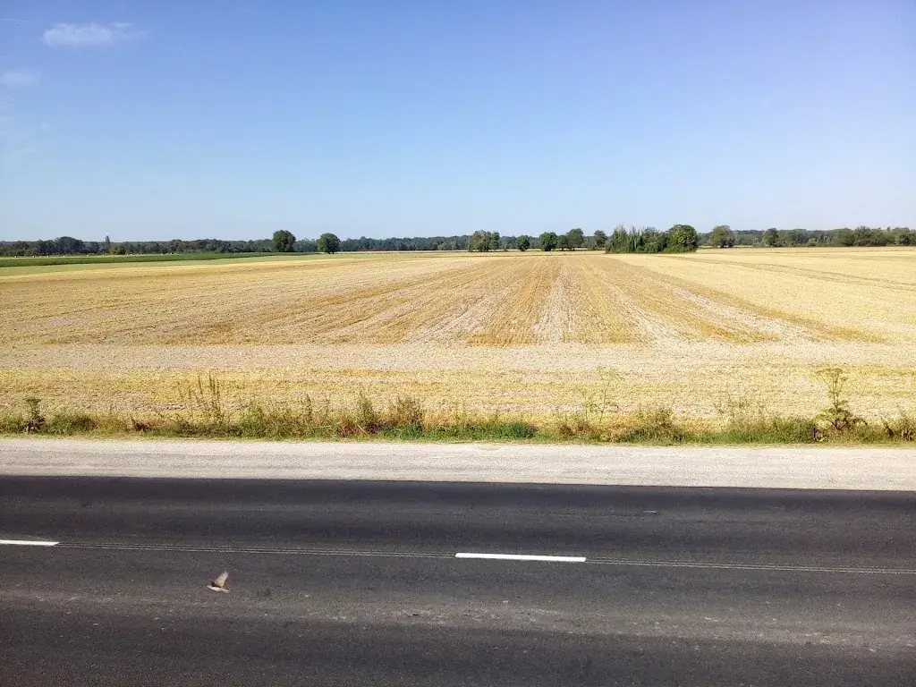 M J_Logis Auberge de la Plaine_Rothière_recensione