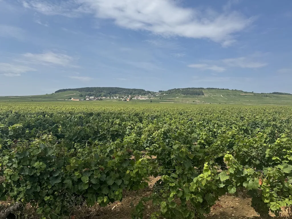 Auberge des Vignes_Volnay_slider_image_3