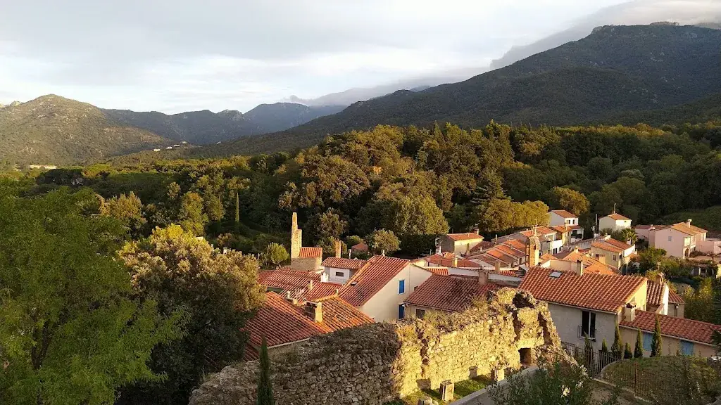 Patrick Torne_Cave Le Carignan_Laroque-des-Albères_avis