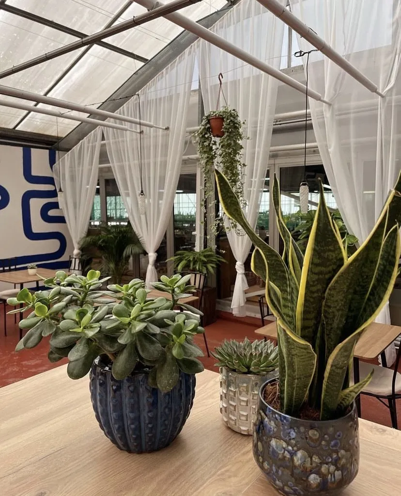 Les Succulentes Café - Atelier_Champenoux_slider_image_3