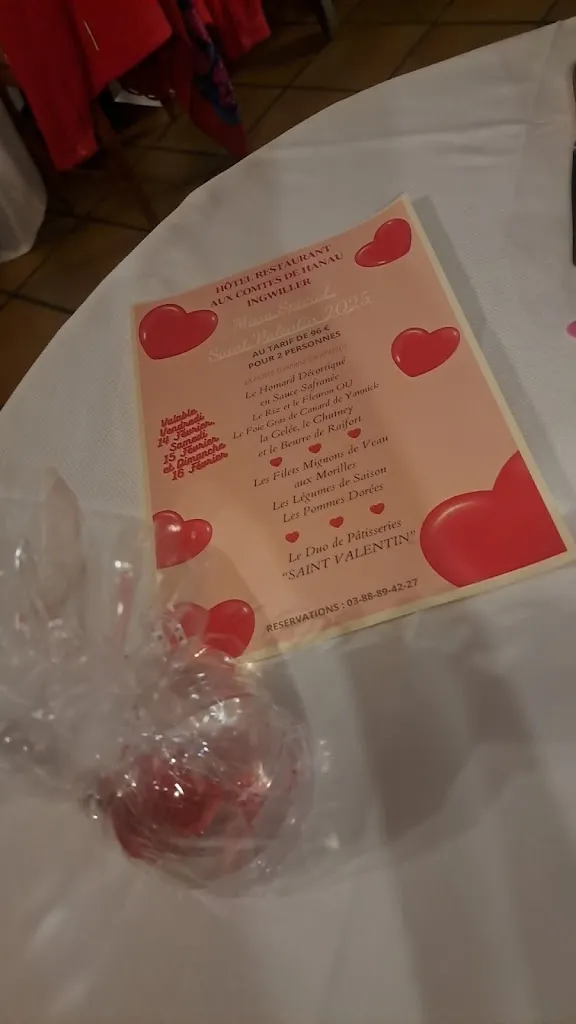 Menu_Logis Hôtel Restaurant Aux Comtes De Hanau_Ingwiller_image_1