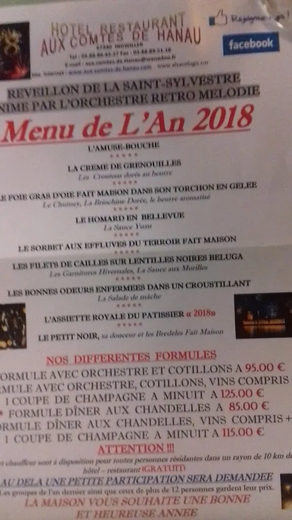 Menu_Logis Hôtel Restaurant Aux Comtes De Hanau_Ingwiller_image_2