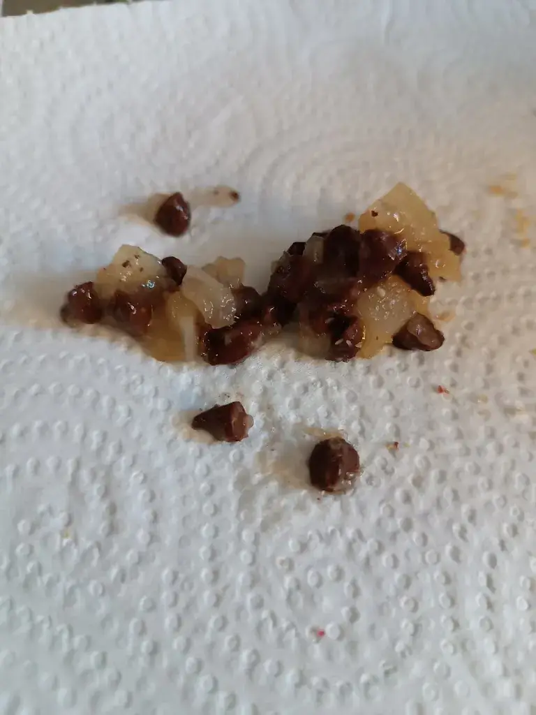 Fanny STEINER_Chez Muriel et Jean-Sébastien_Bouxwiller_review