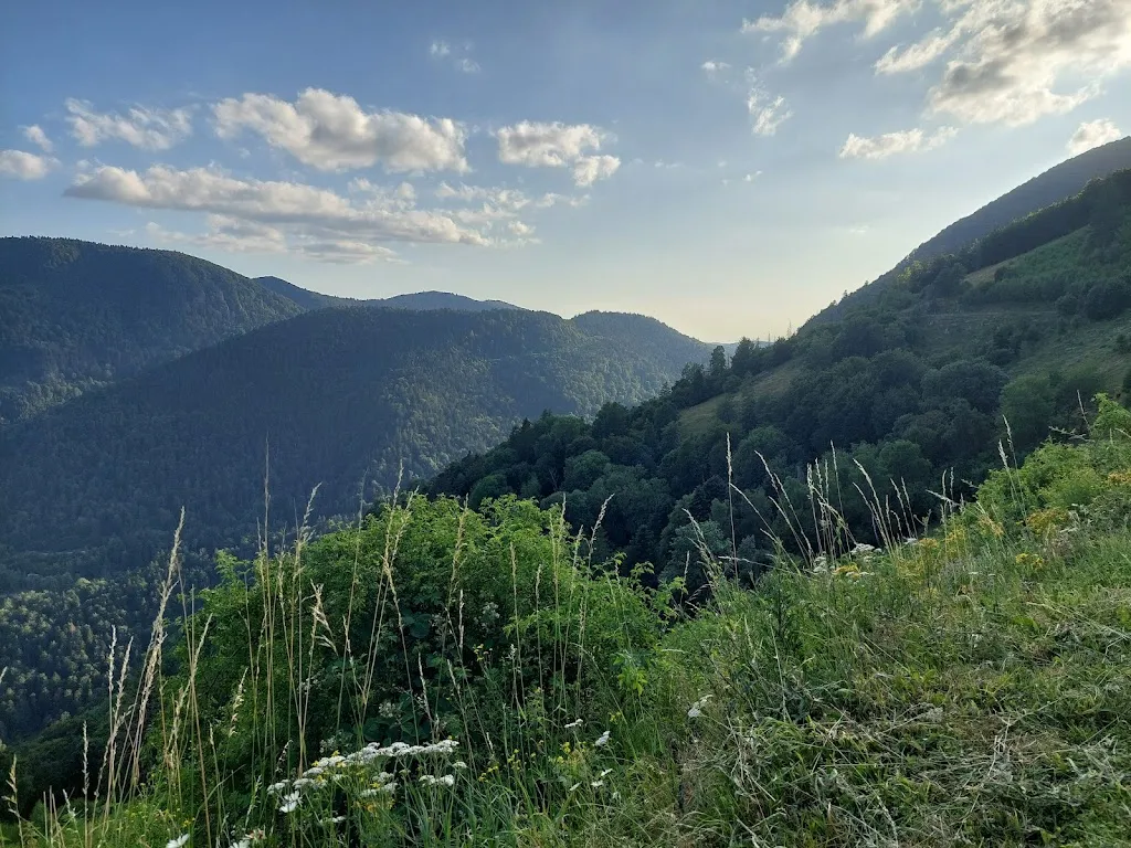 Christine LOCATELLI_Ferme-Auberge Gustiberg Urbès - Col de Bussang - Chambres en demi pension_Urbès_review