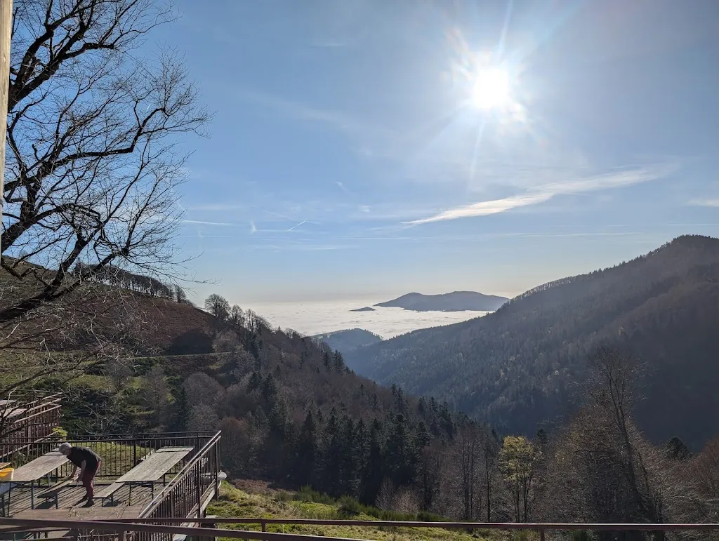 Adam Solomon_Ferme Auberge Felsach_Fellering_review